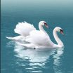 DE SWAN EXQUISITE HOTEL & SUITES